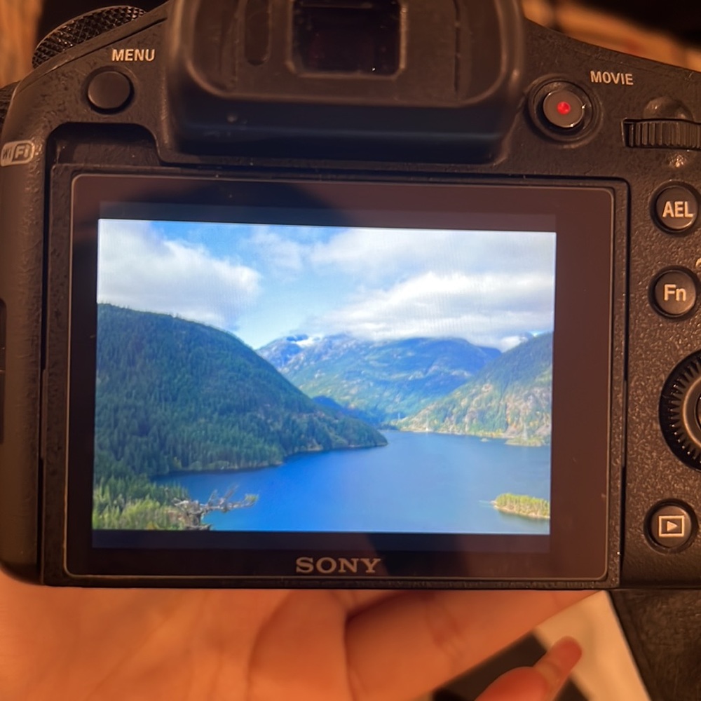 Sony RX10 - Picture 6 of 6